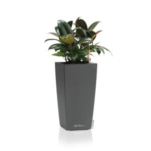 MINI-CUBI ir MAXI-CUBI vazonai