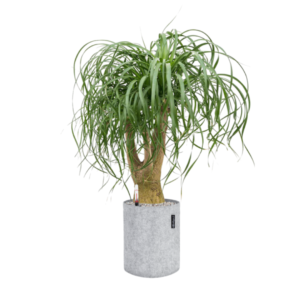 TRENDCOVER veltinis vazonas