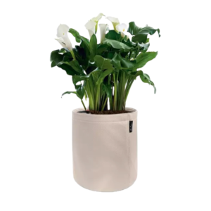 TRENDCOVER 23 vazonas