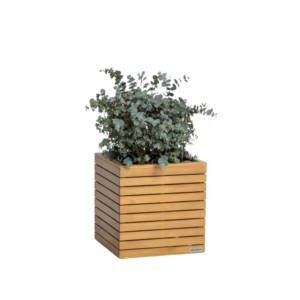 Medinis, žemas vazonas su atskirtomis lentomis