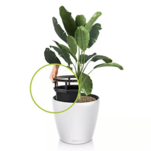 CLASSICO COLOR LS vazonai