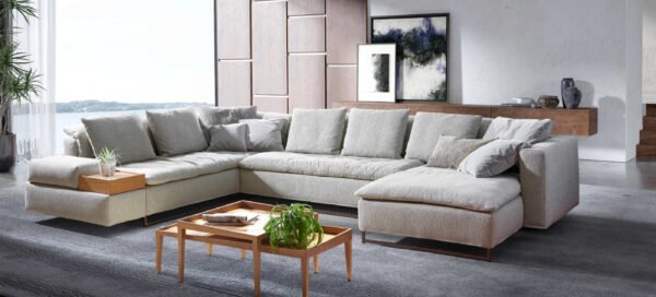 Moderni sofa su ergonomiška sėdyne
